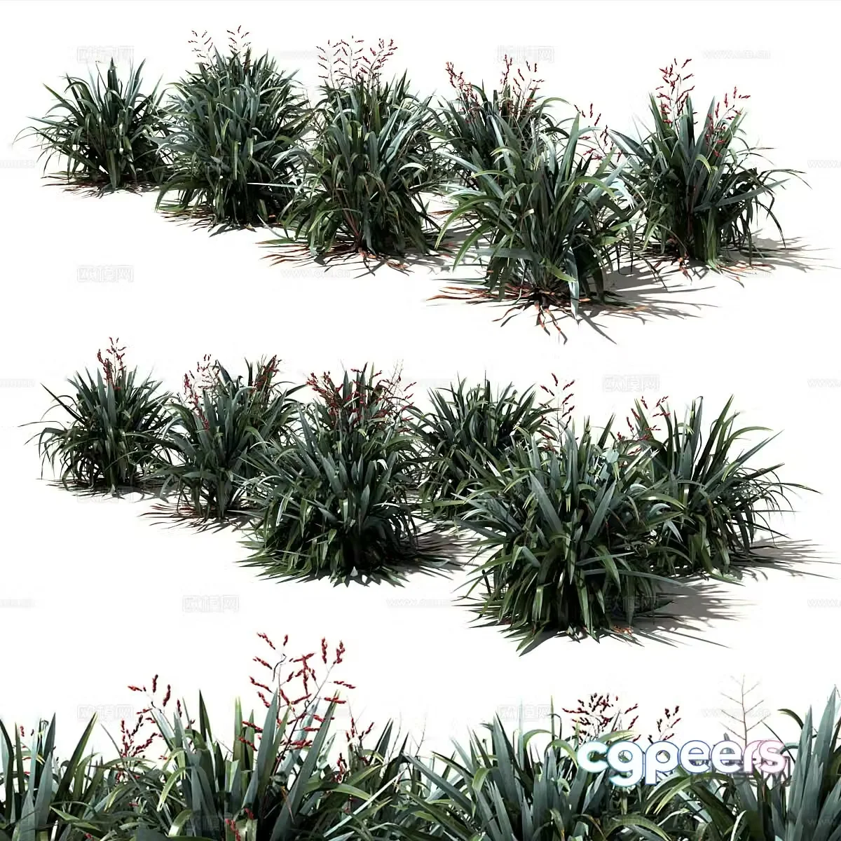 Flax plant 3d model