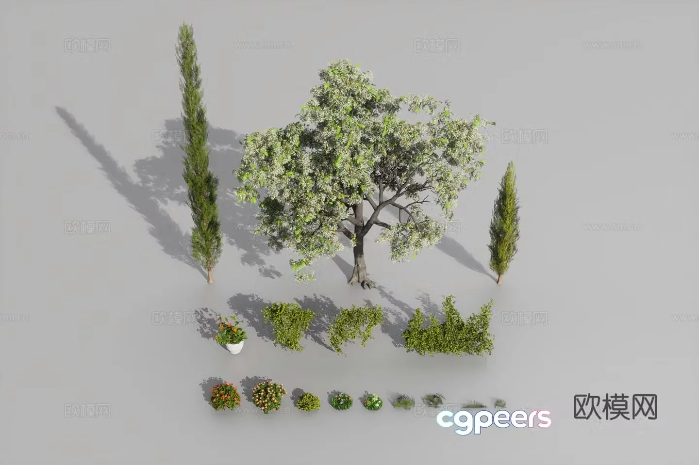 Plant combination 3D model