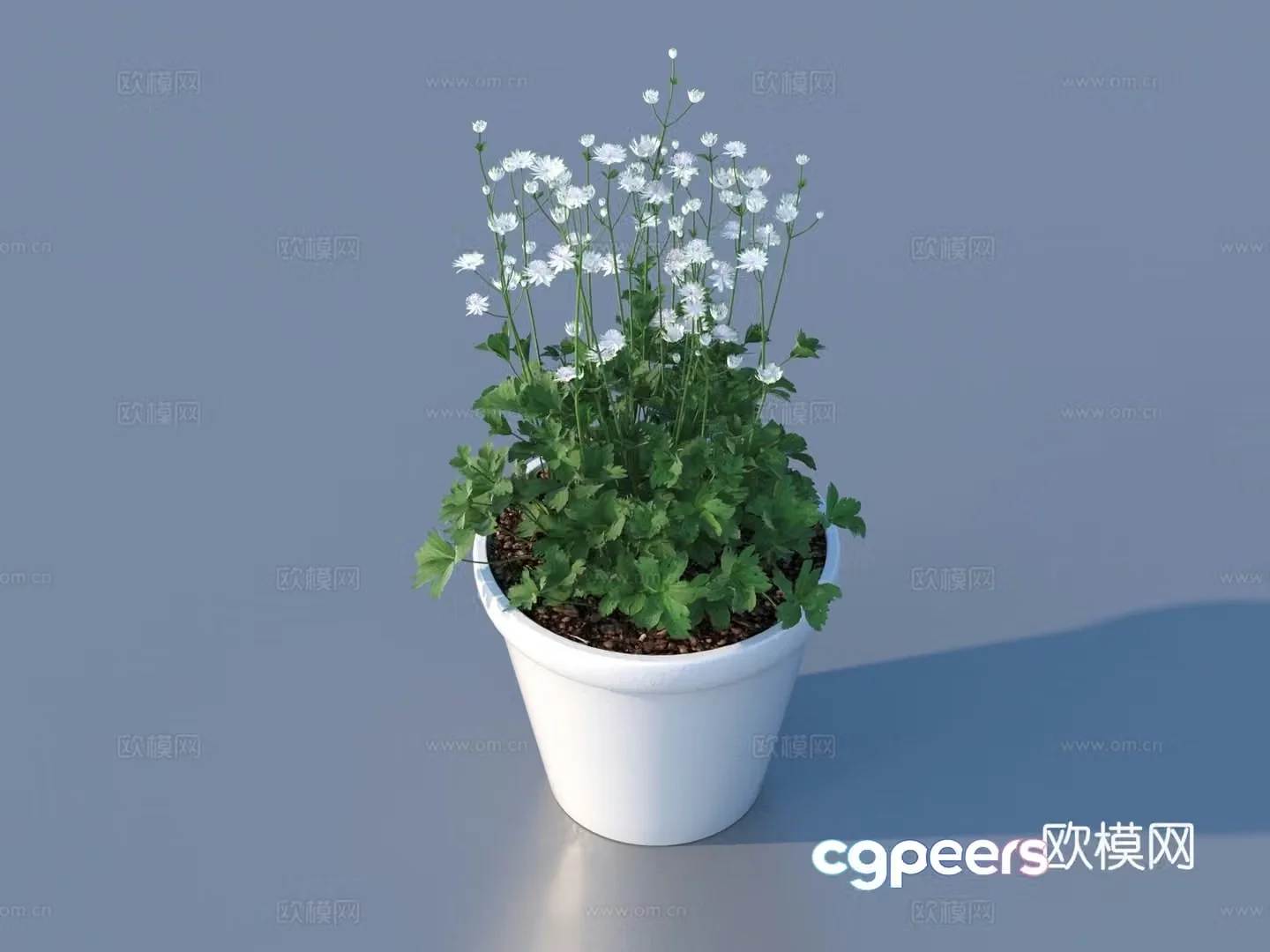 Flower pot pot green plant 3d model
