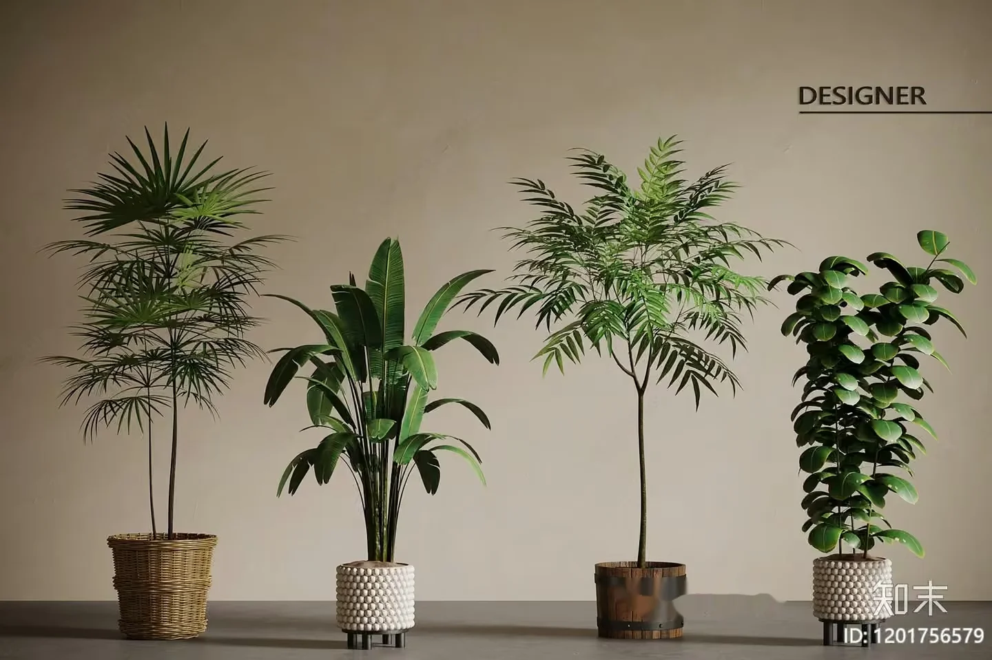 Four Indoor Plants 3D Model – 9247 – VRAY Render
