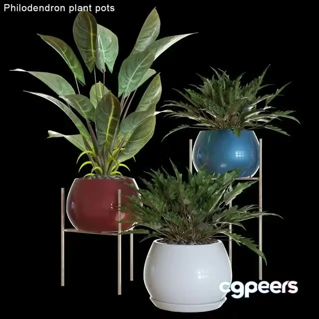 3ds Max Free – Philodendron plant pots 2