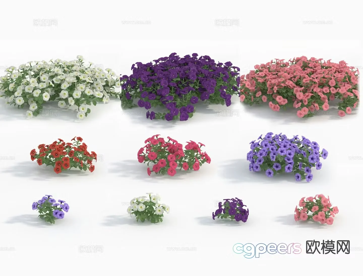 flower flowers 3d model