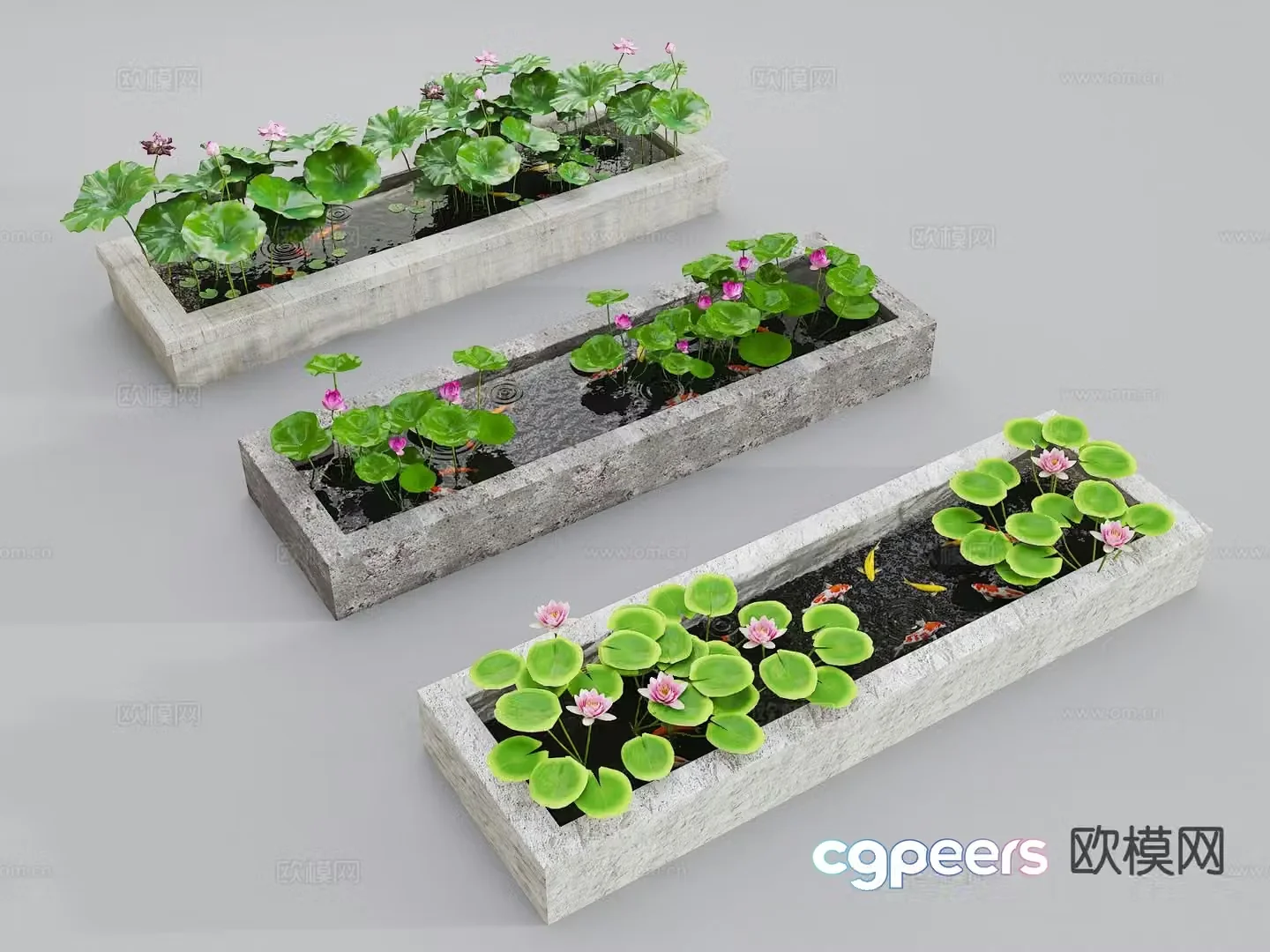 Koi pond native tank fish farming lotus pond fish pond 3d model
