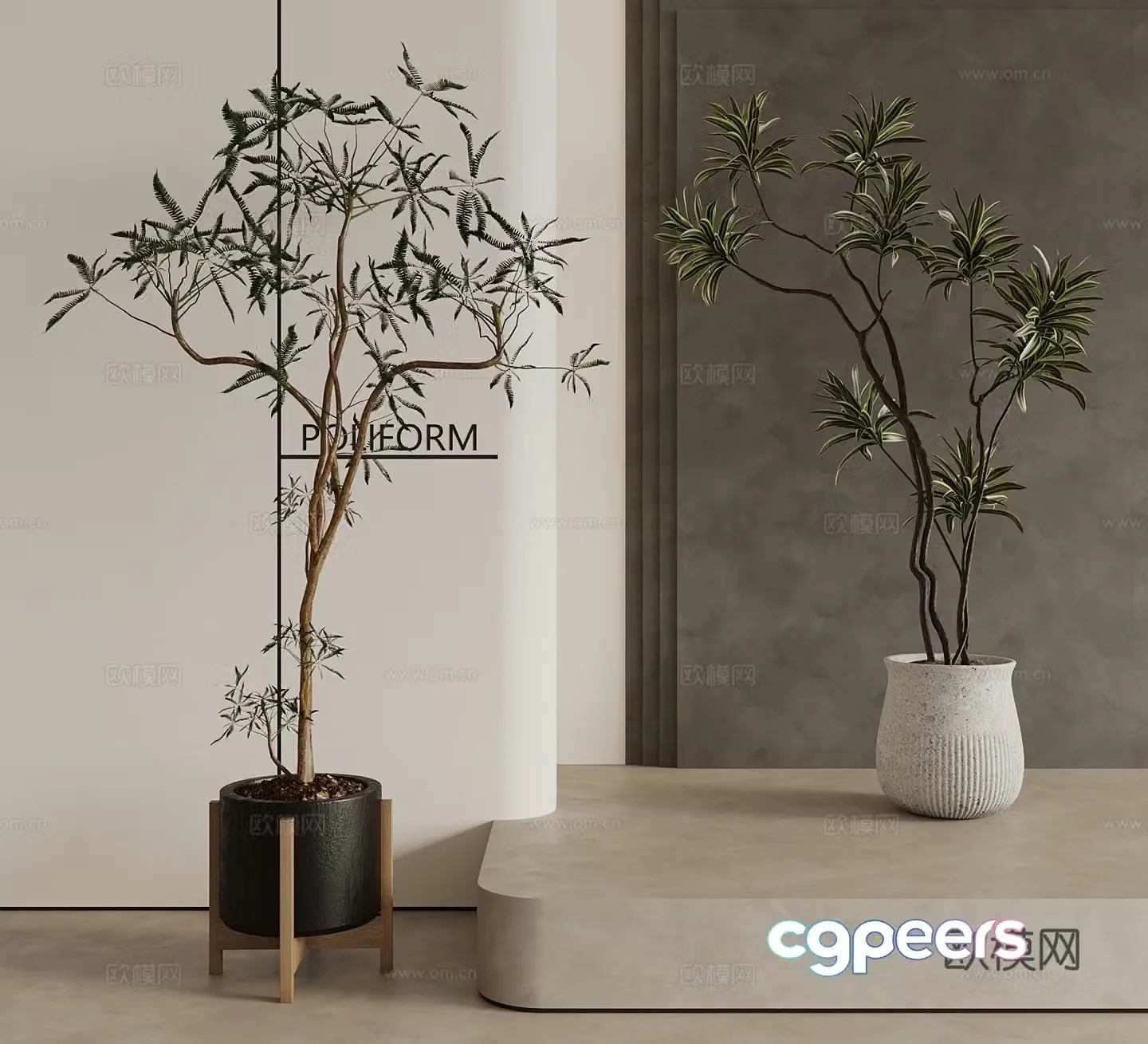 Modern Middle Style Plant 3D Model
