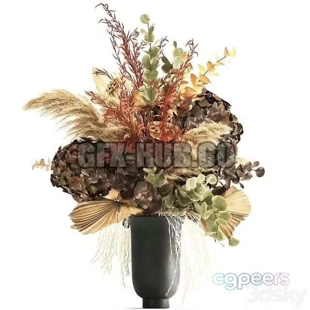 3ds Max Free – Bouquet of dried flowers in a black vase with dry branches of palm leaves, pampas and Hydrangea. 160