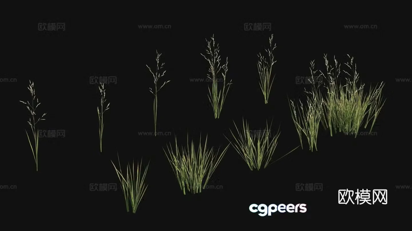 Outdoor flowers plants green plants 3d model