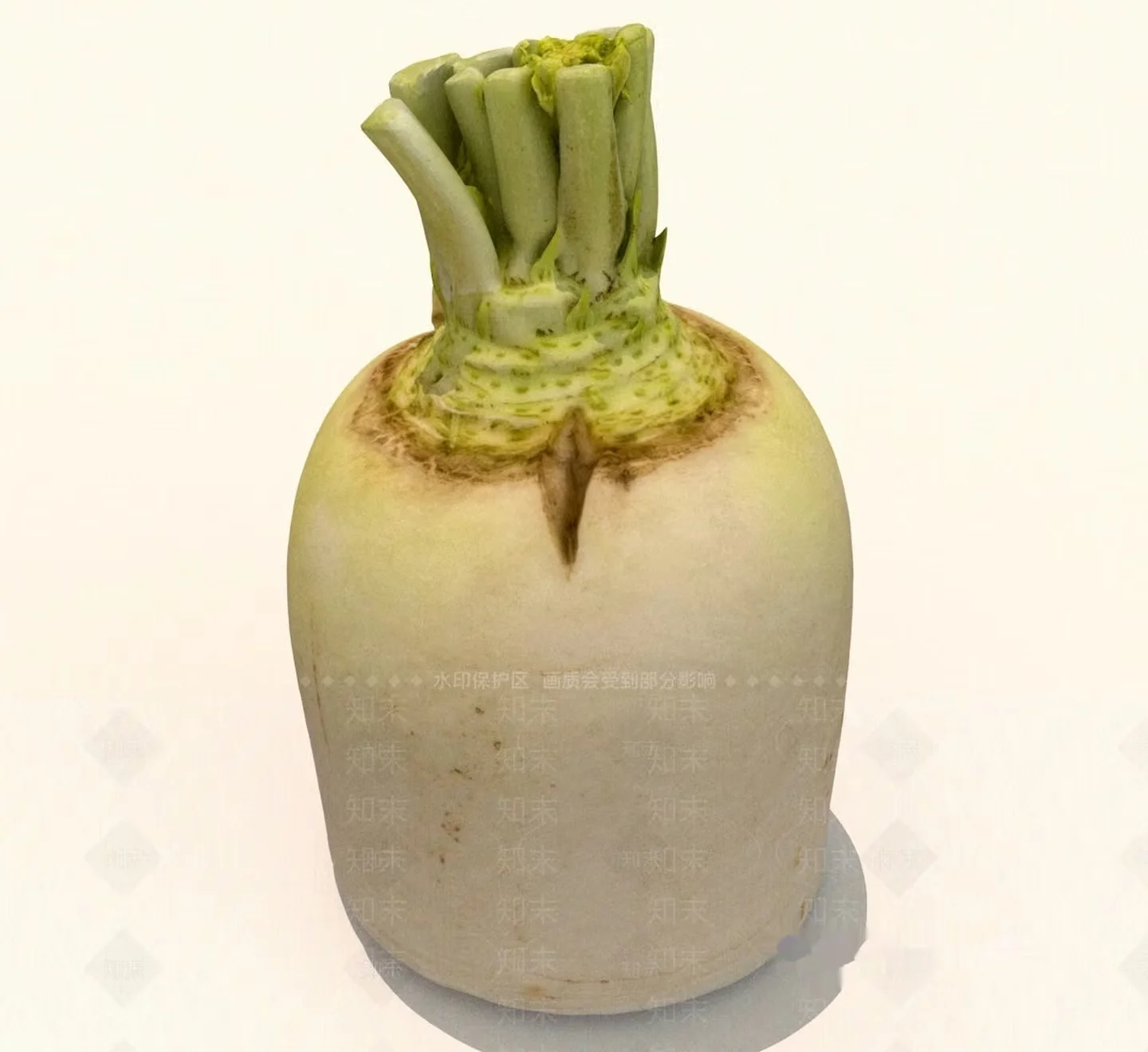 A White Vegetable 3D Model – 12761 – VRAY Render