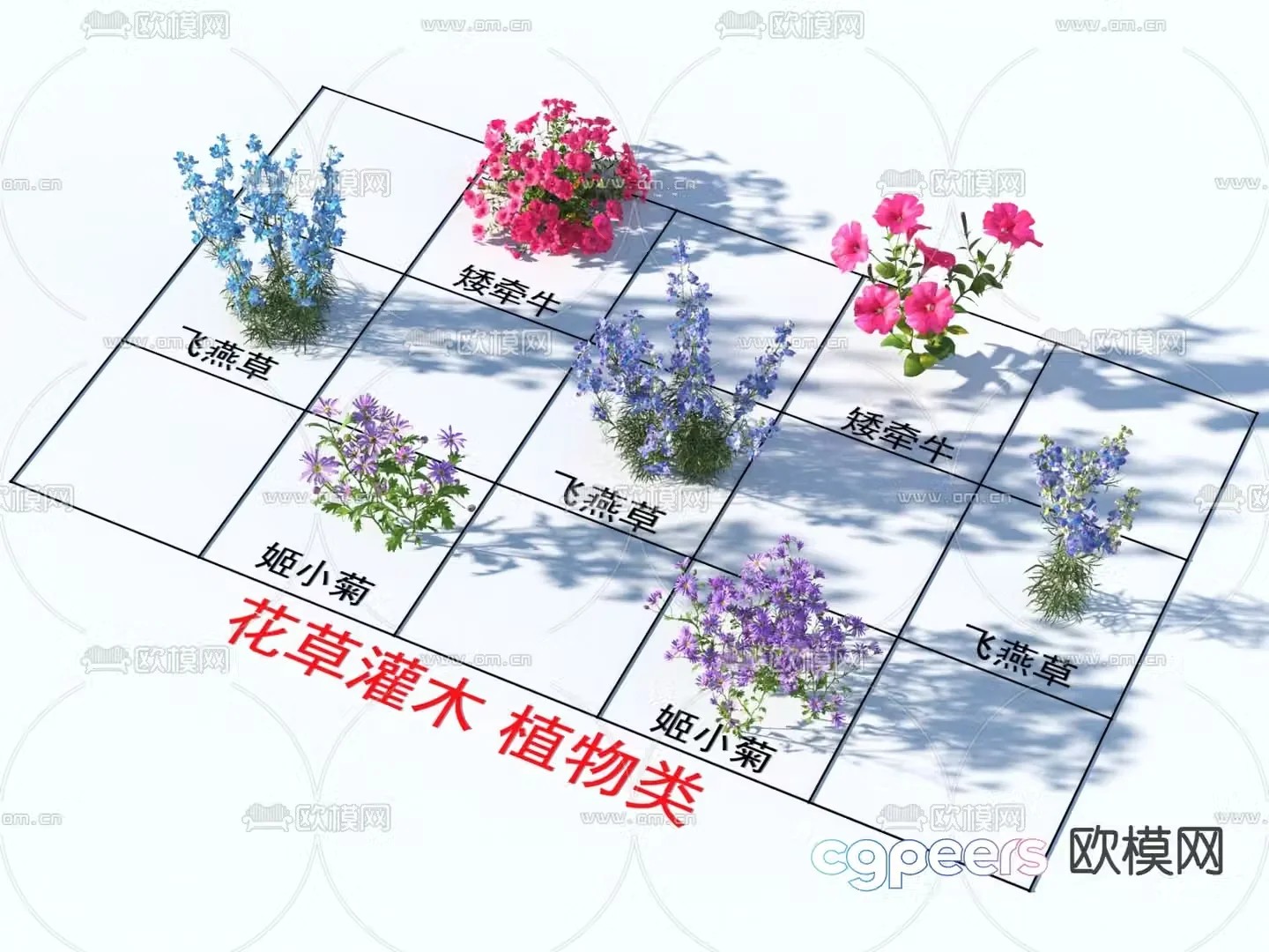 Petunia delphinium Ji Xiaoju shrubs and flowers 3D model