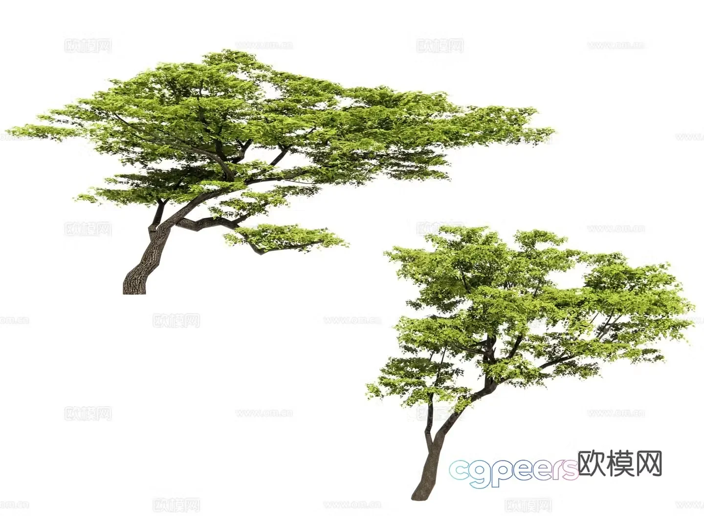 Slanted tree Floating branch tree Crooked neck tree Crooked crown tree Modeling tree Bend pole tree 3D model