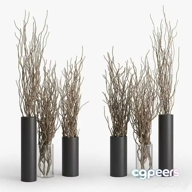 3ds Max Free – Dry Branch