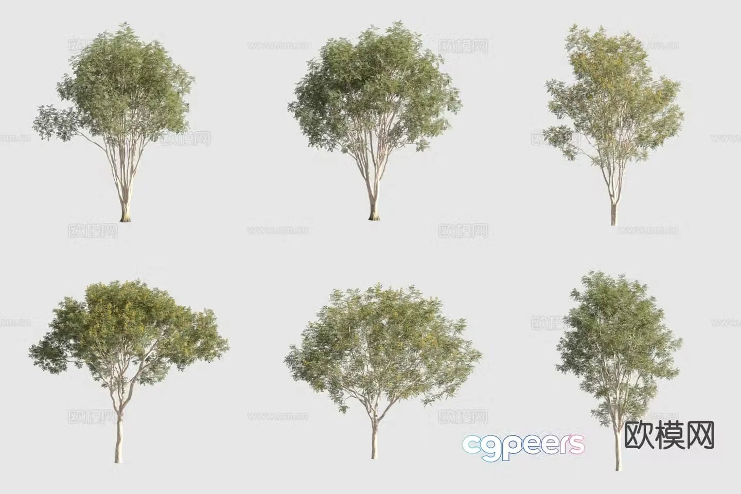 Brazilian iron frame wood landscape tree 3d model