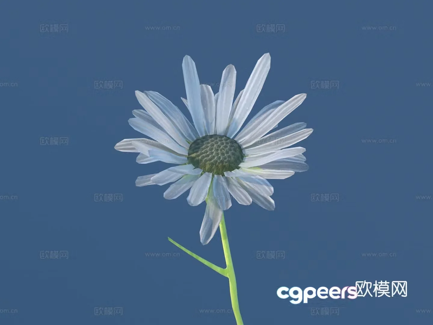 Flowers Wild Flowers Green Plants Flowers 3D Model