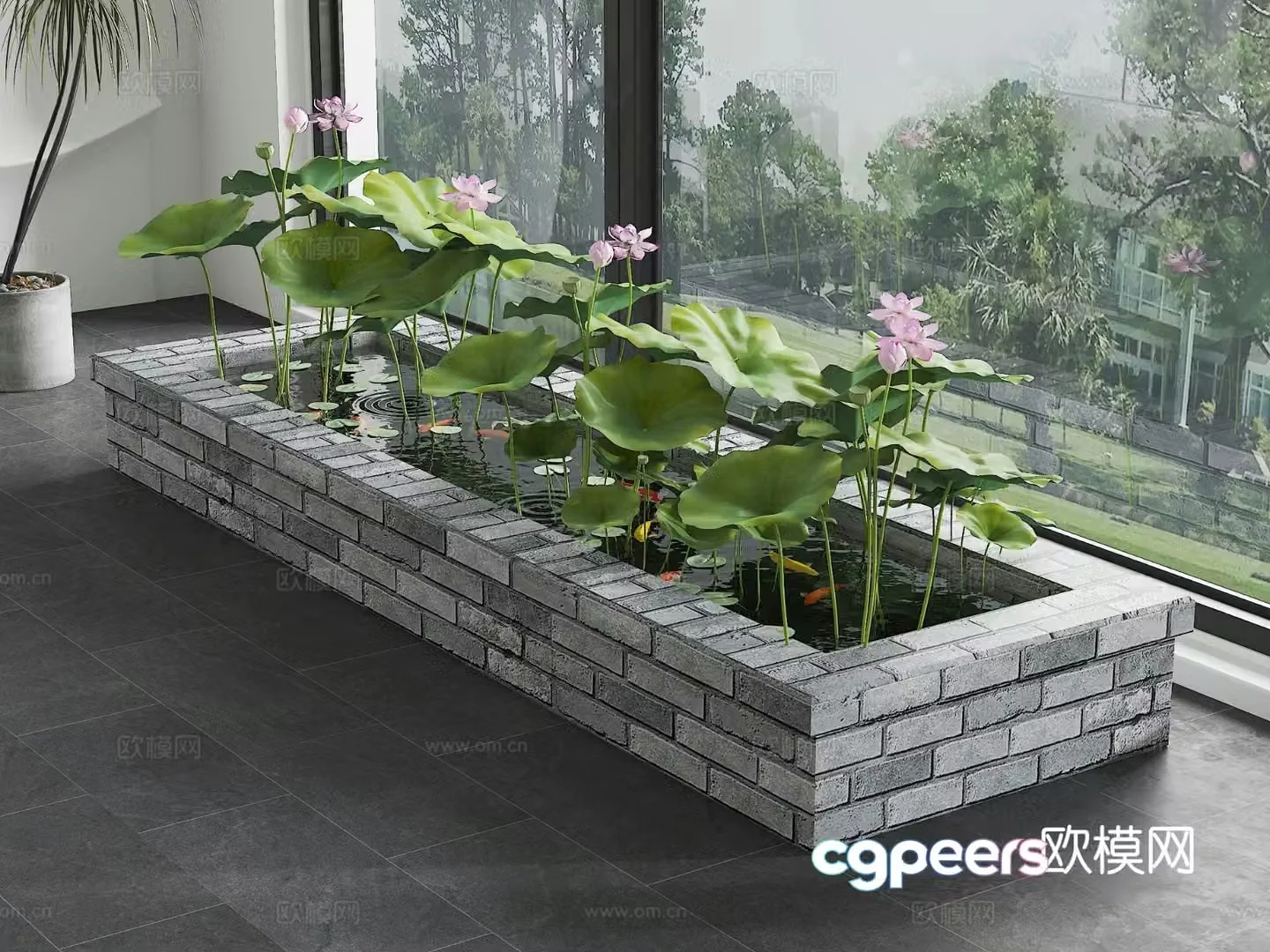 Koi pond native tank fish farming lotus pond fish pond 3d model