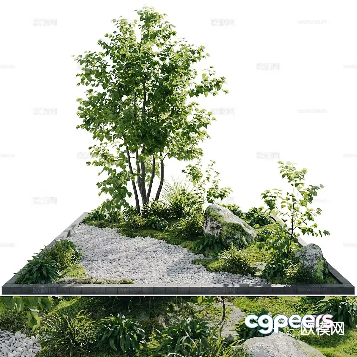 Landscape sketch plant landscaping 3D model
