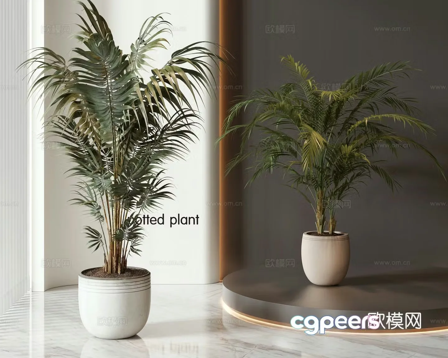 Modern potted bonsai combination 3D model