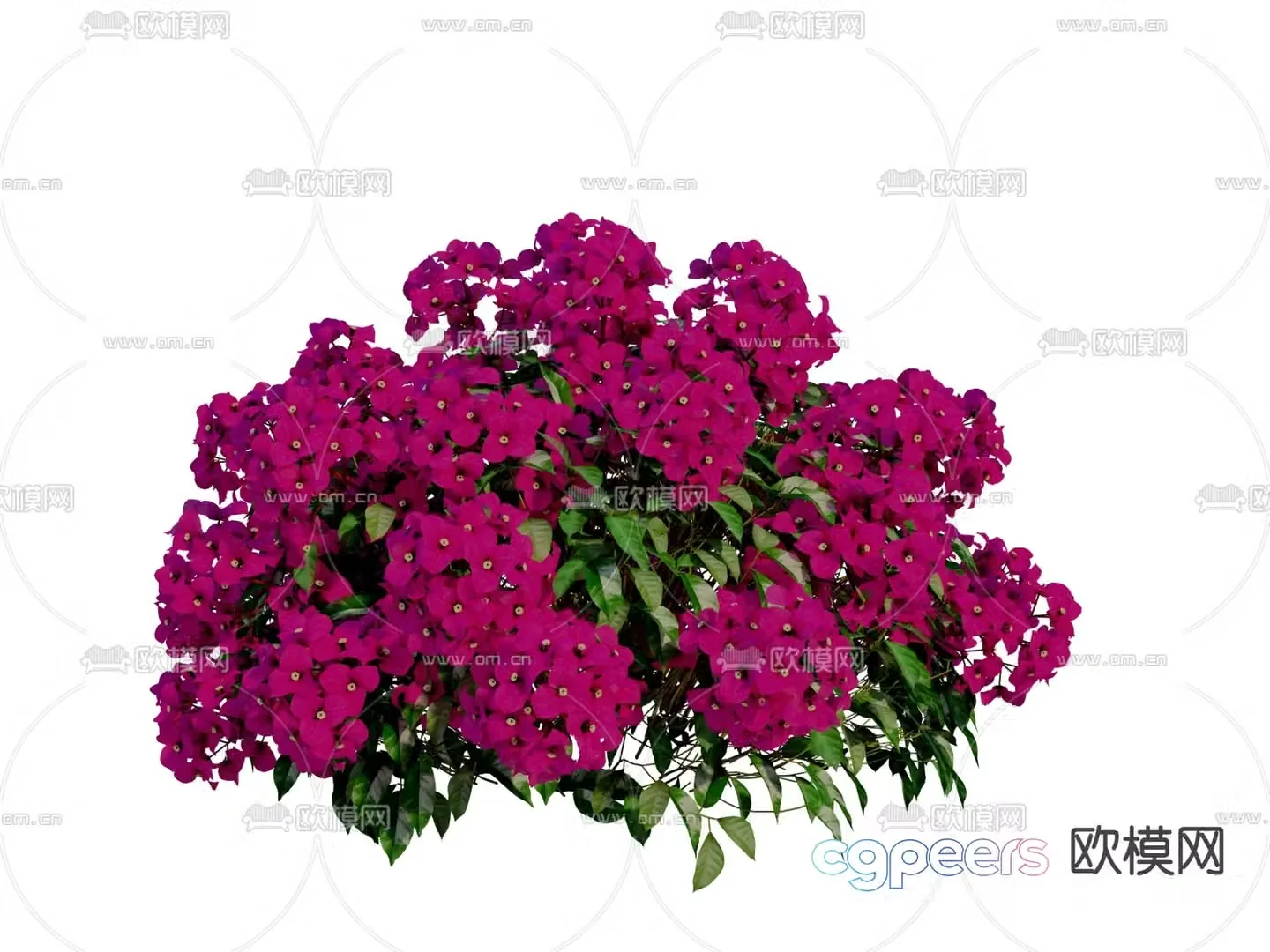 Leaf Flowers Plant Flowers Flowers 3D Model