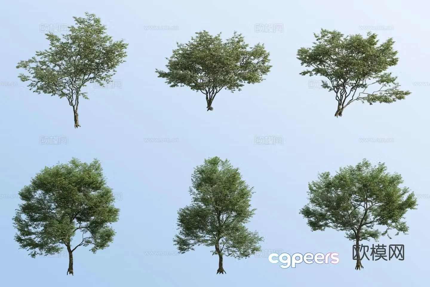 small tree landscape tree street tree 3d model