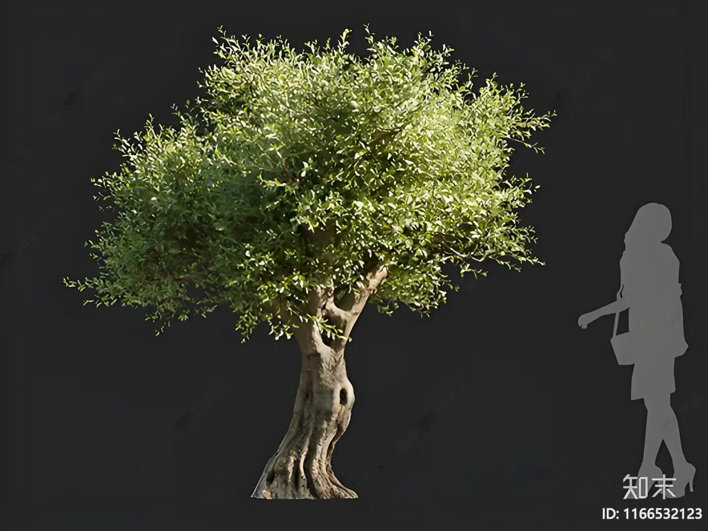 A Tree With A Woman Standing Next To It 3D Model – 11472 – VRAY Render
