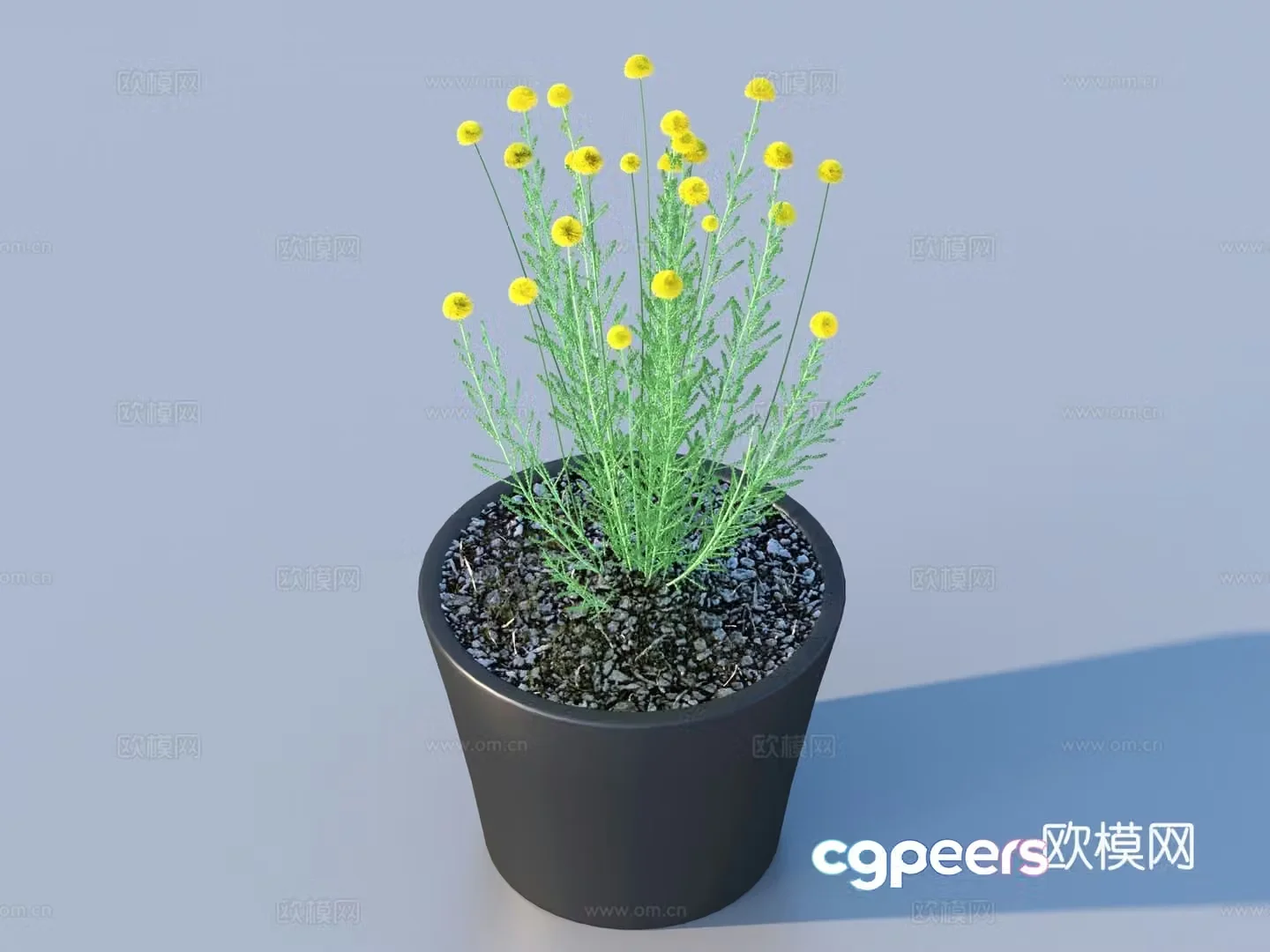 Flower pot pot green plants plant 3d model