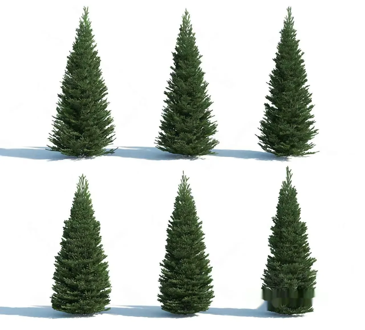 Six Christmas Trees 3D Model – 21388 – VRAY Render