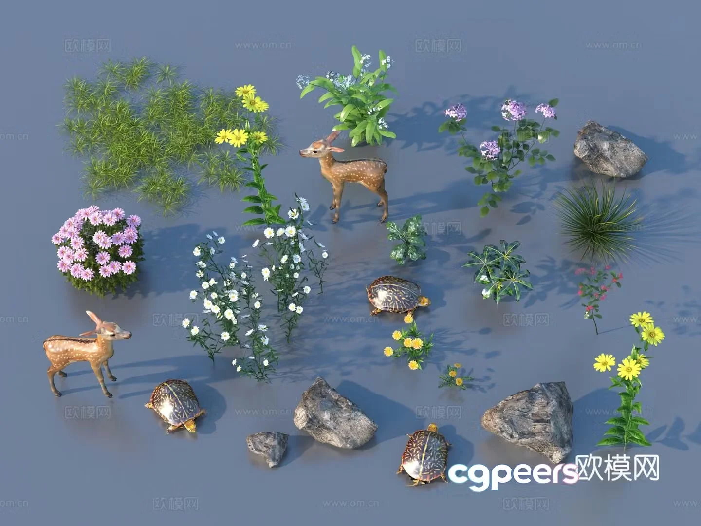 Grass Outdoor Landscape Flowers and Grass 3D Model