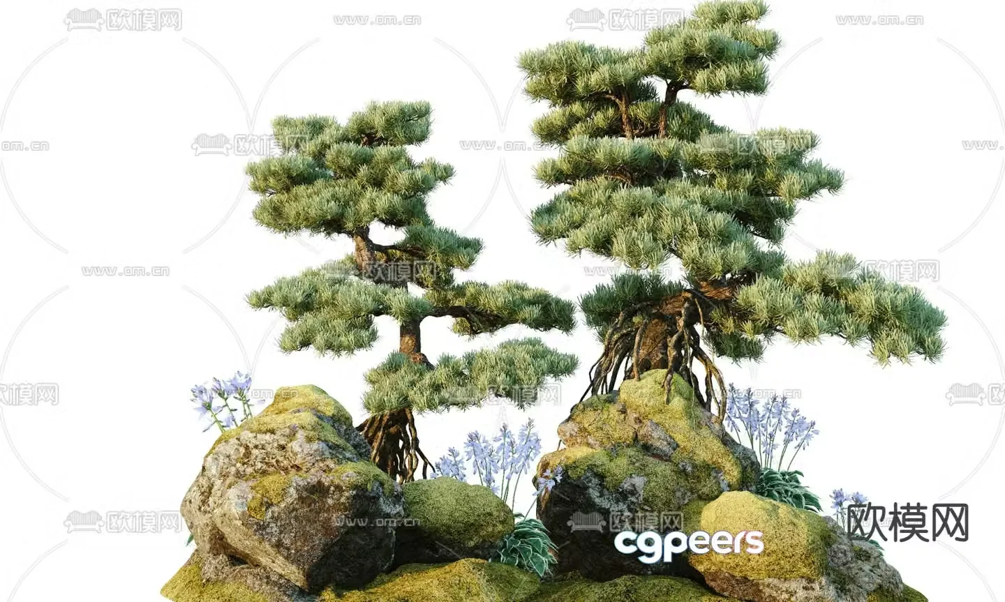 Pine tree sketch green plant pile bonsai 3d model