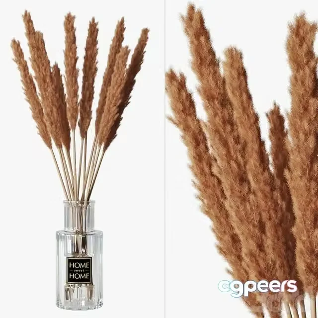 3ds Max Free – Pampas grass 05