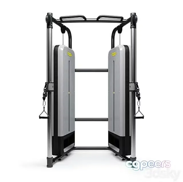 3ds Max Free – Technogym DUAL ADJUSTABLE PULLEY exercise machine – PERFORMANCE