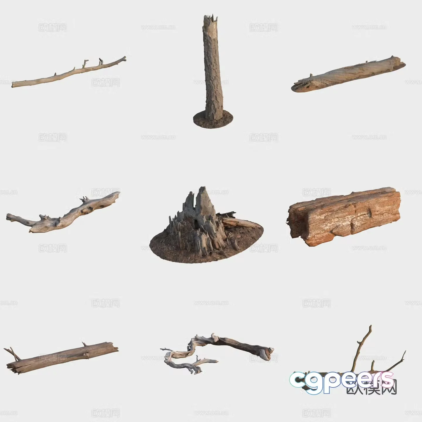3d model of trunk branches stump