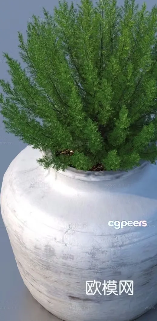 bonsai flowerpot green plant plant 3d model