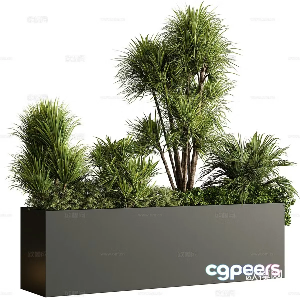 Plant box potted 3d model