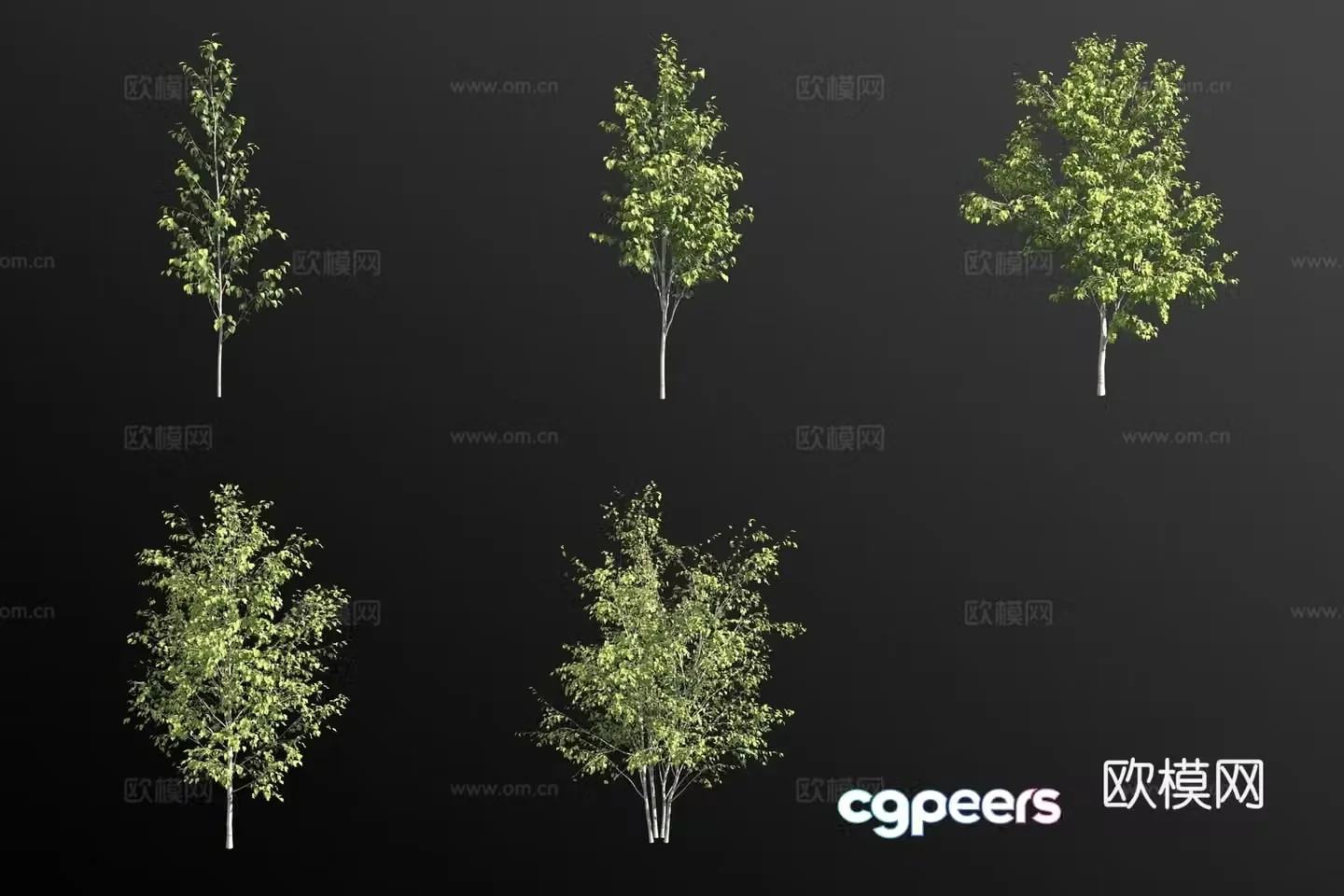 Brutal birch landscape tree tree 3d model