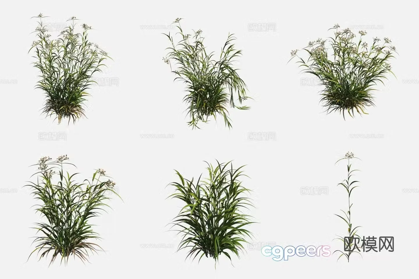 Water sedge marshland plants 3d model