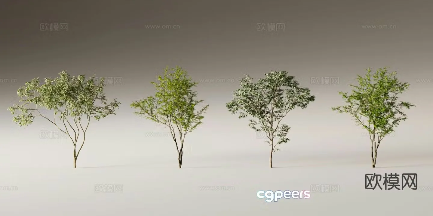 Big tree Landscape tree Street tree 3d model