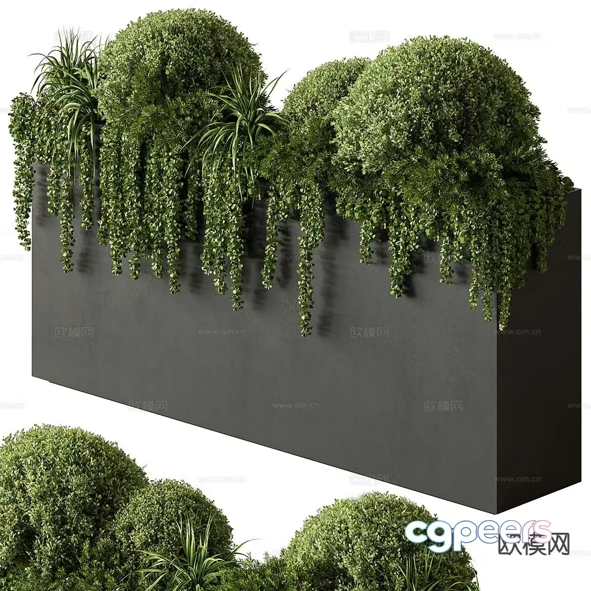 Green plant flower box flower trough flower bed plant 3d model