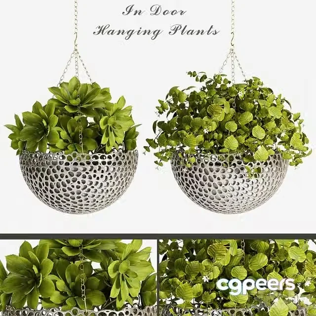3ds Max Free – PLANT SET -62