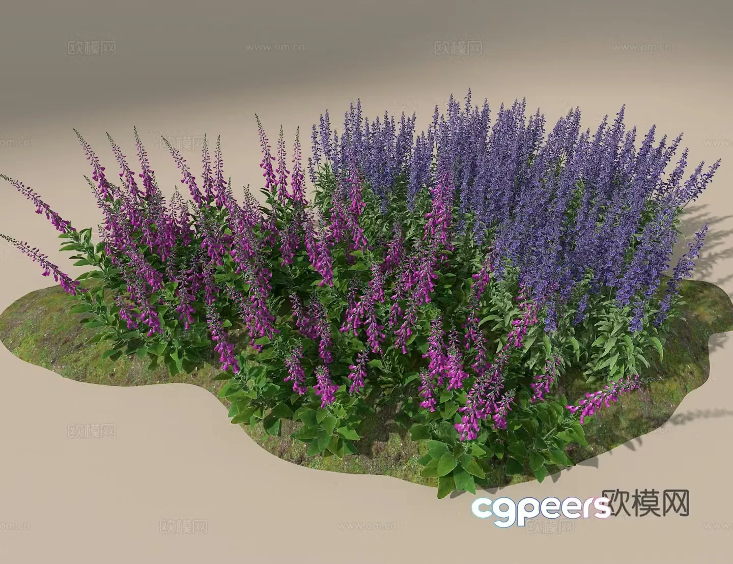 Landscape flowers and plants 3d model