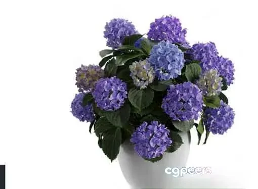Purple Flower Arrangement 3D Model – 16484 – CORONA Render