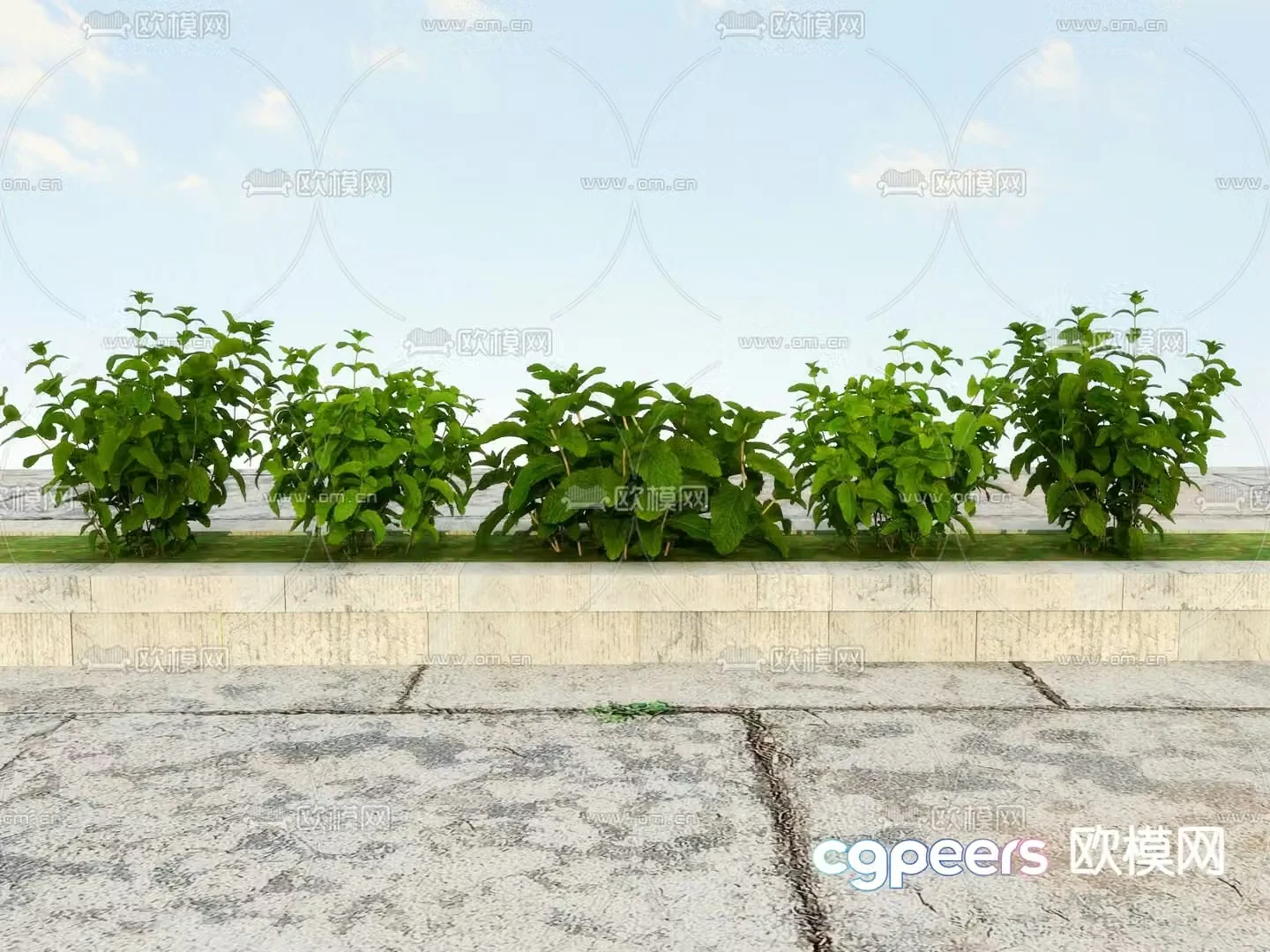 Shrimp vegetables flower tank garden green plants 3D model
