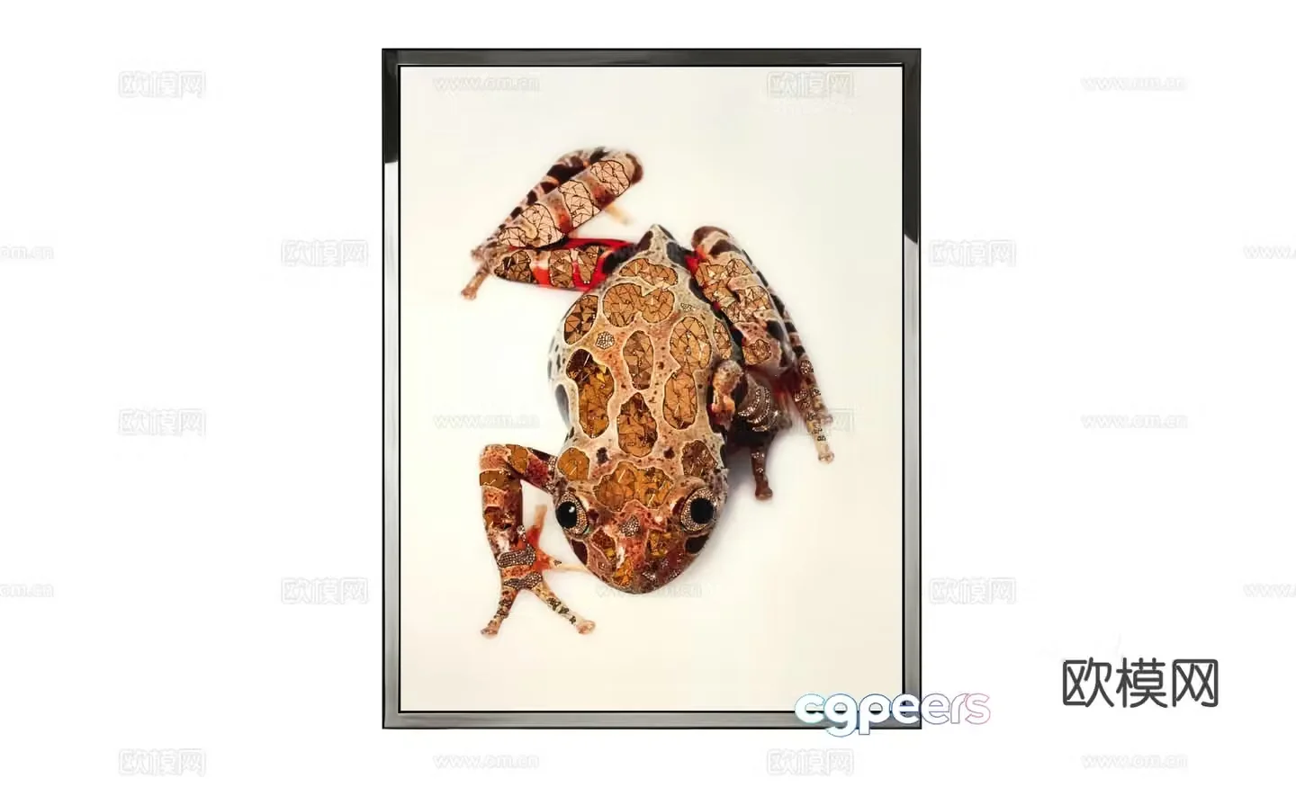 Visionnaire RANA Frog hanging painting 3d model