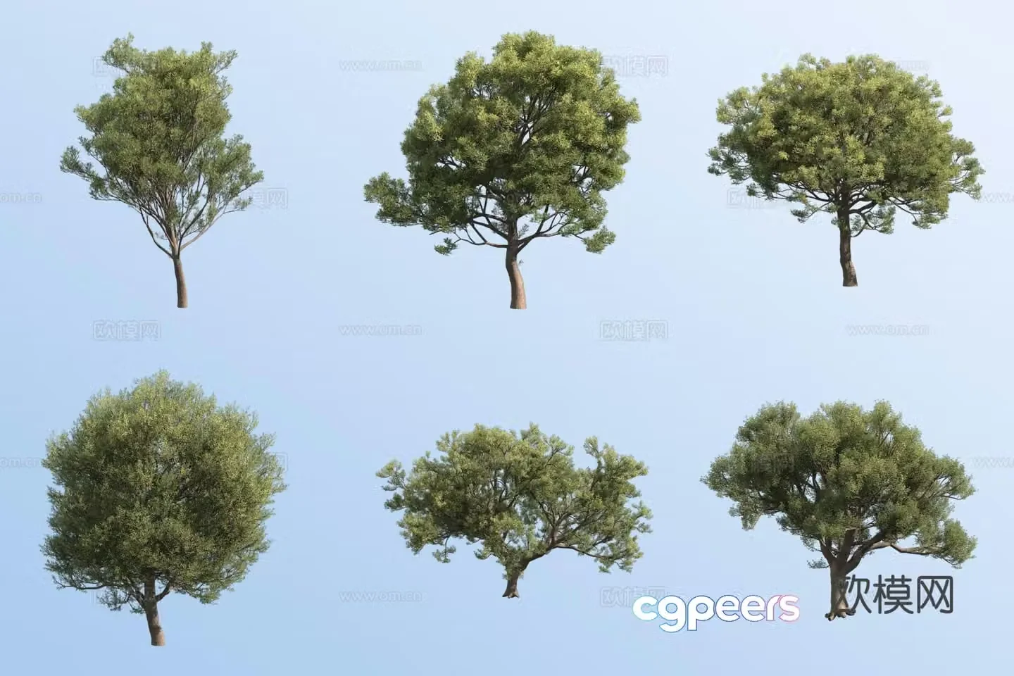 Holly oak tree landscape tree 3d model