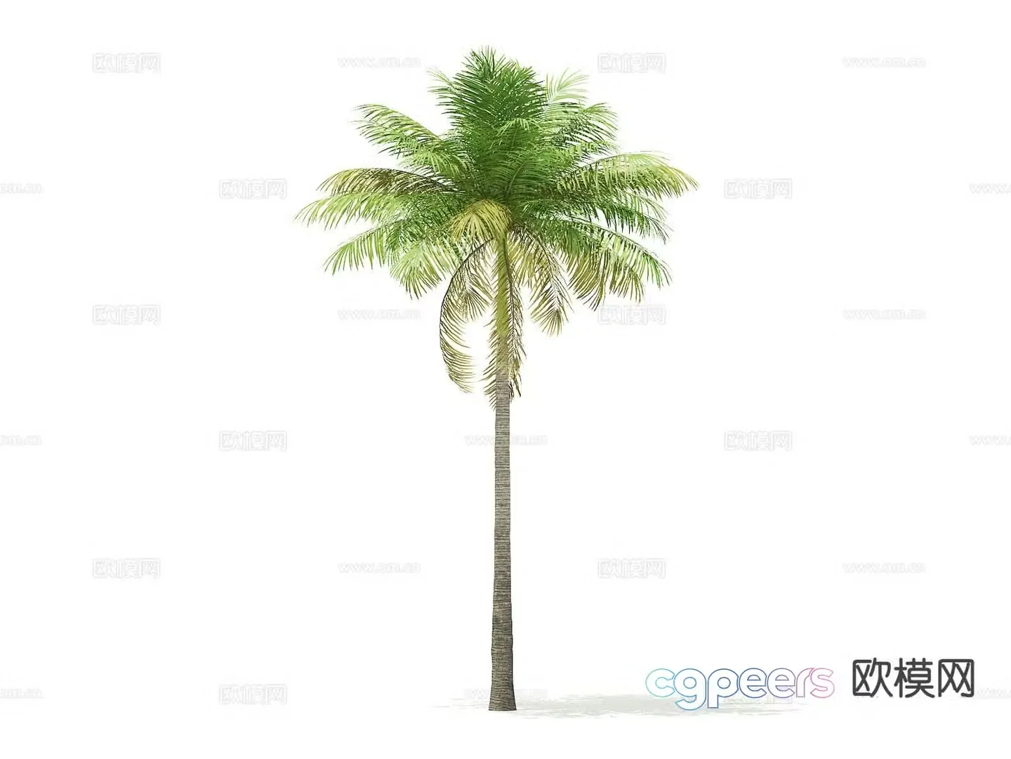trees landscape trees arbor street trees palm trees 3d model