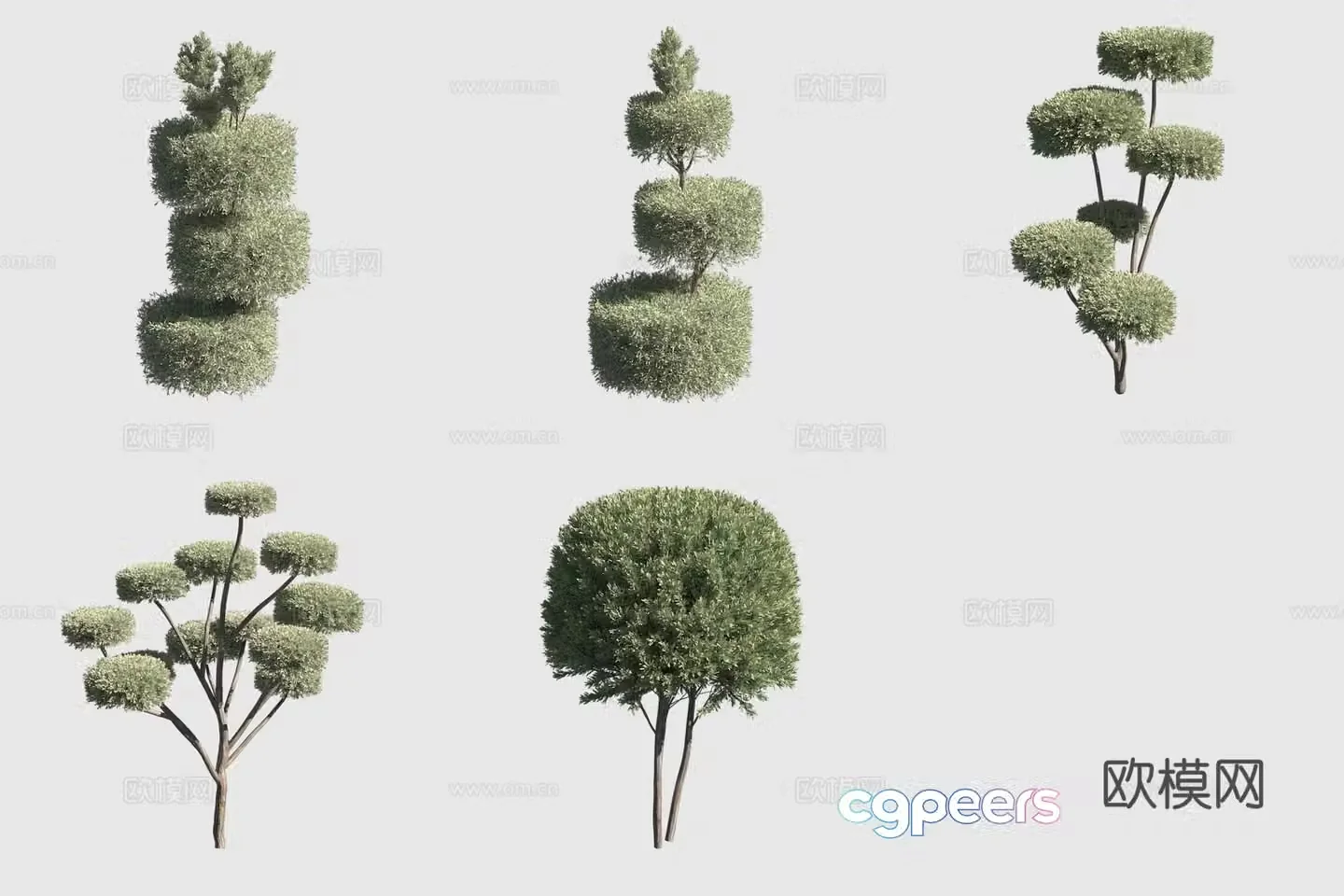 Fork round cypress hedge bush 3d model