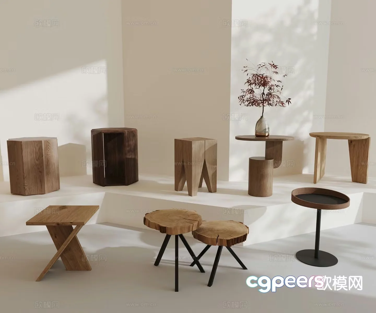 Wasabi side circle angle 3D model