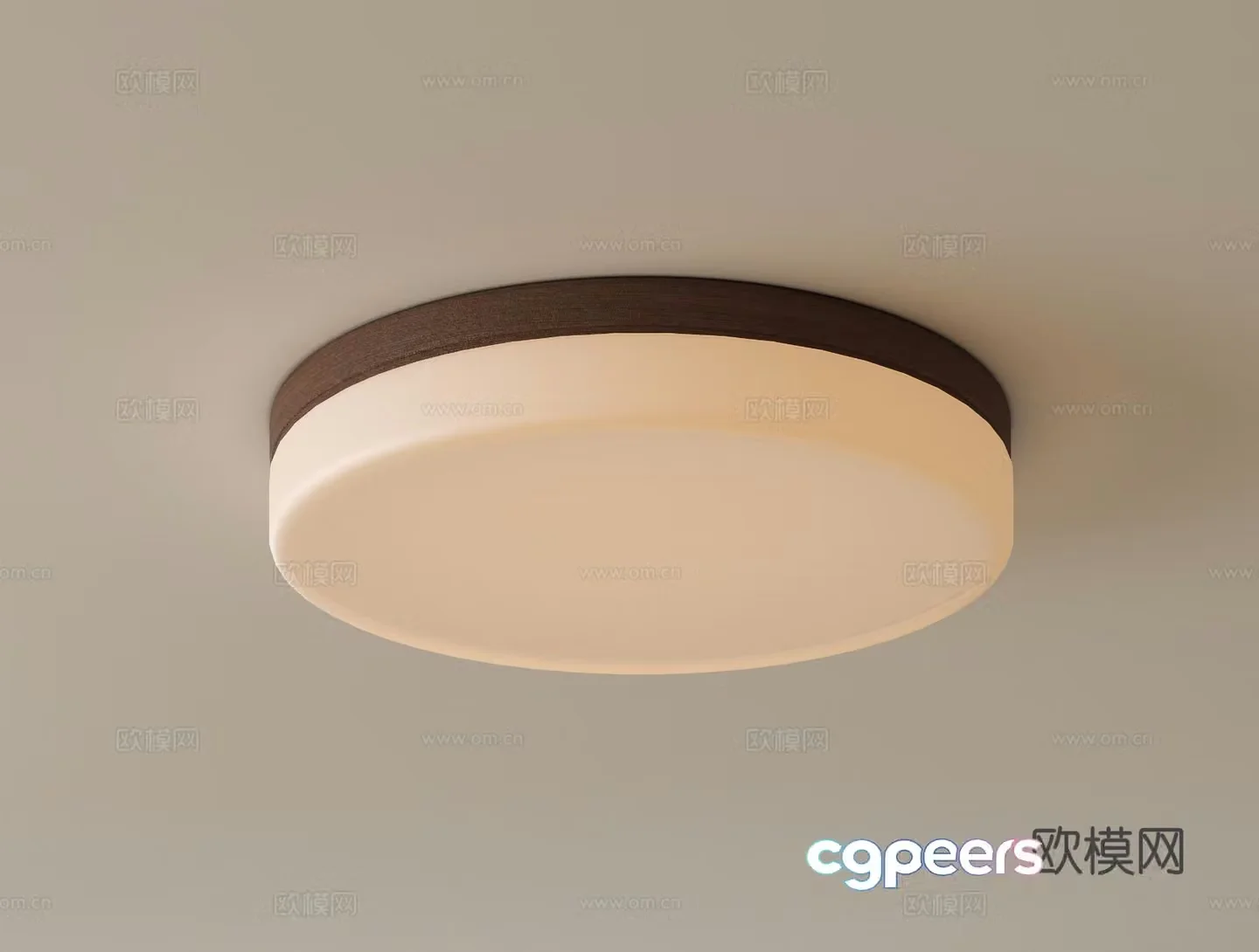 Modern ceiling lamp 3d model