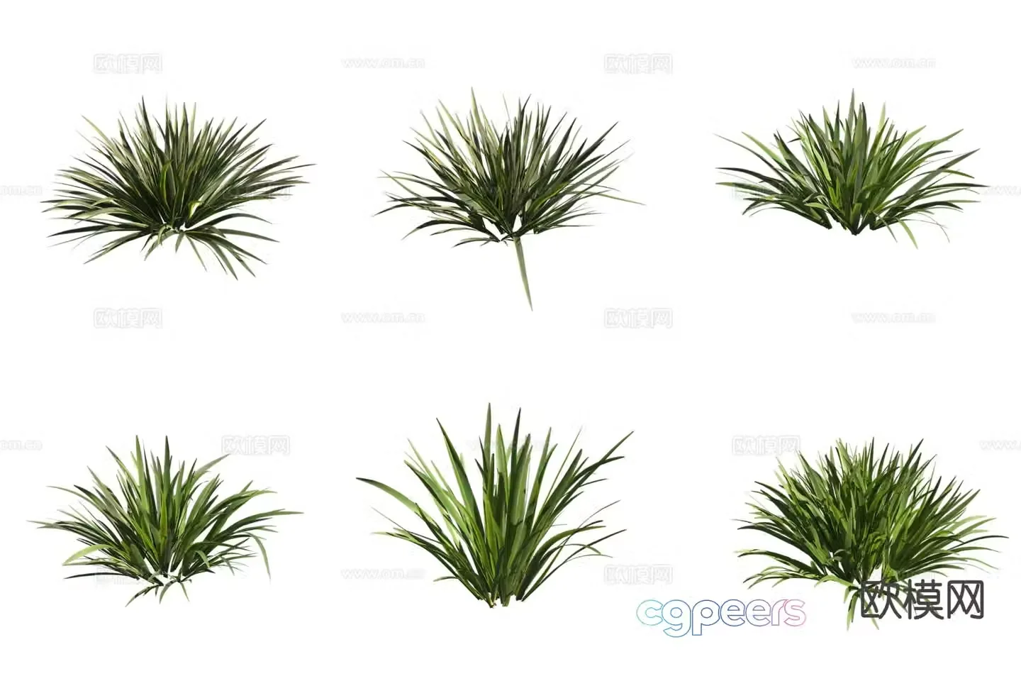 3D model of calamus flowers and plants