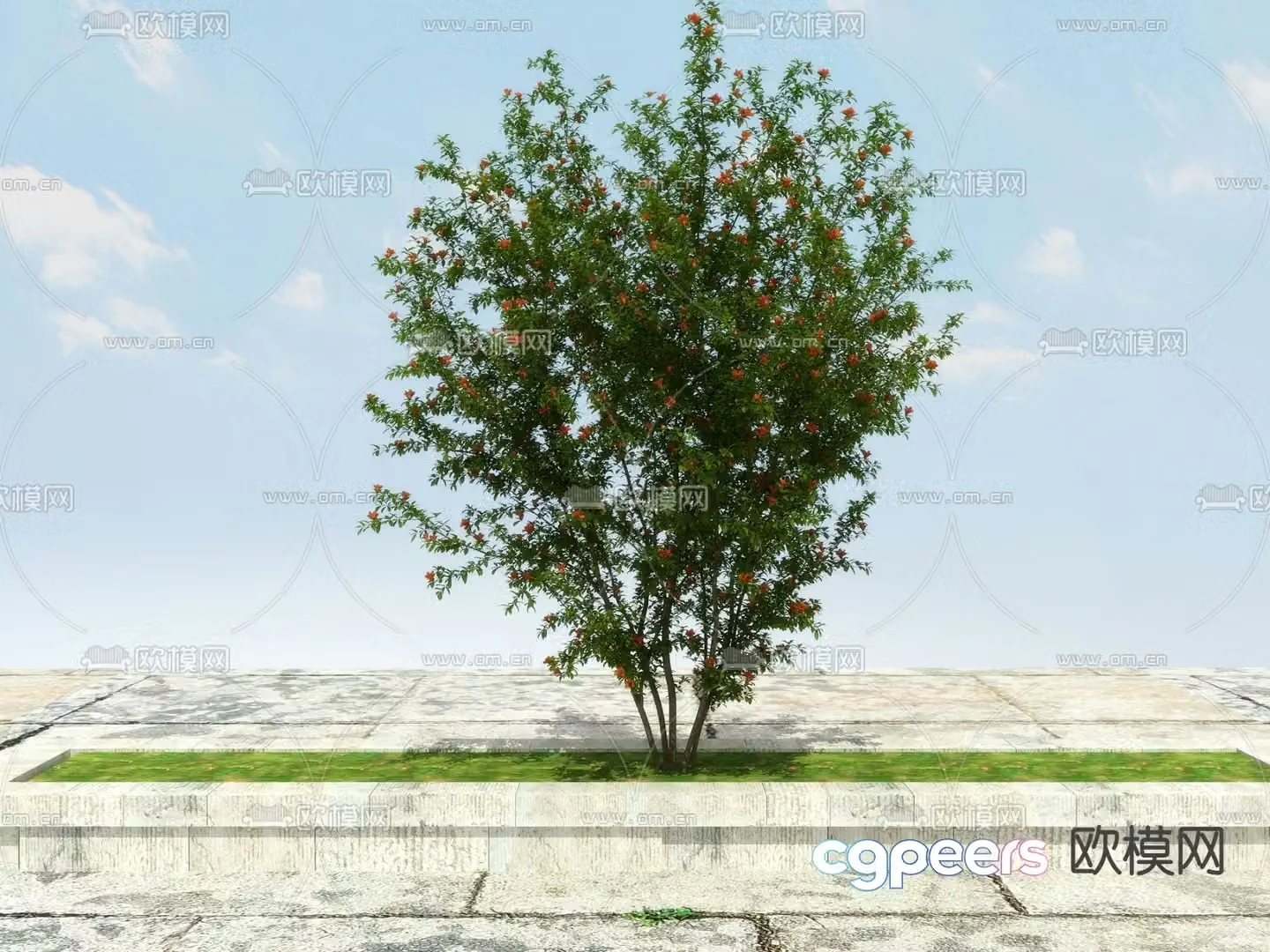 Pomegranate tree Flowering tree Flower trough 3D model