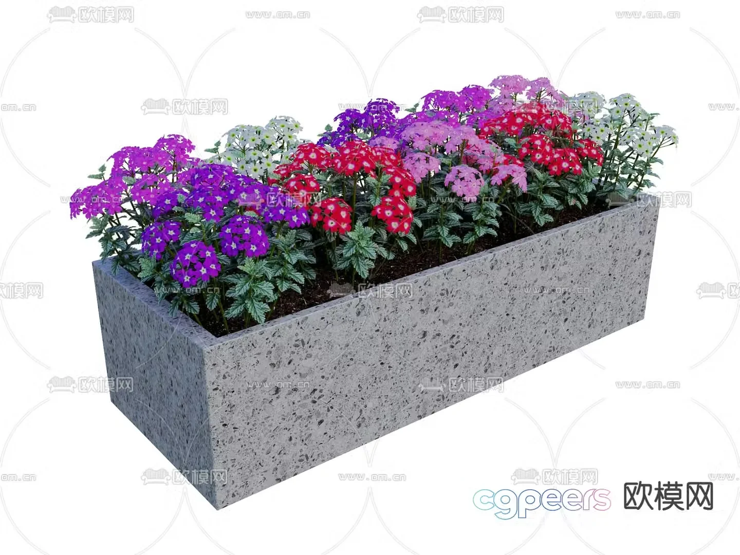 Beautiful cherry blossoms garden plants flower bed 3d model
