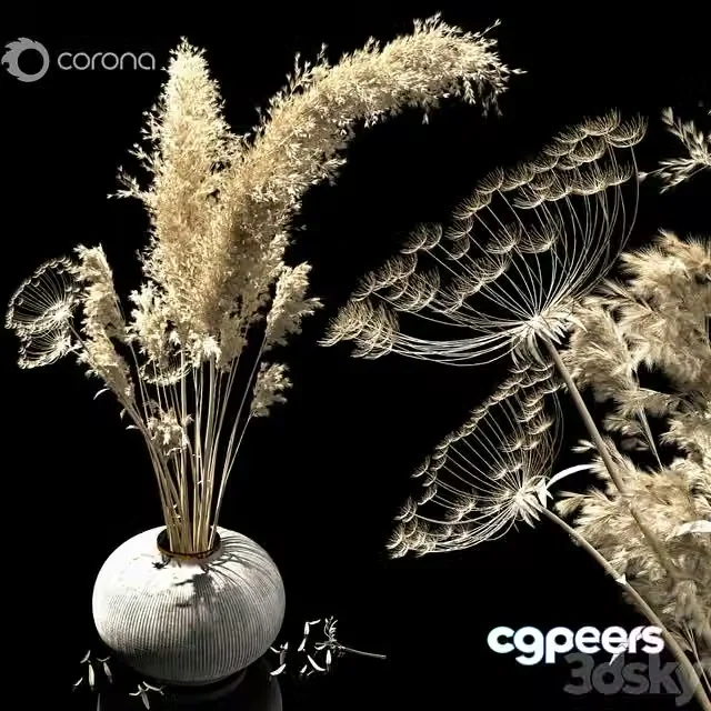 3ds Max Free – dried flowers tropic