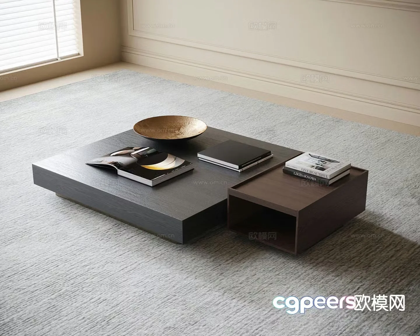 Modern double coffee table 3d model